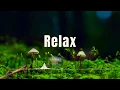 Download Lagu Relax | sappheiros - awake amazing chaines remix vlog music