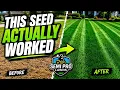 This Grass Seed Changed My Lawn FAST Real Results
