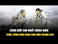 Download Lagu Nhân sinh tại thế: Cuộc sống đơn giản và tâm hồn thanh cao là cảnh giới cao nhất của đời người