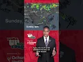 Wake Up Baton Rouge Damon s forecast for weekend Aug 8-9
