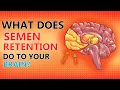 What Does Semen Retention REALLY Do To Your Brain