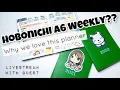 Why we love Hobonichi A6 Weekly 2023 How to use it cover options stickers kits other tips