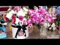 Download Lagu Rosetta Flora