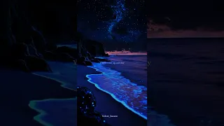 From The Start Laufey Lyrics WhatsApp Status Aesthetic Edit Slowed Sped Up English Song 