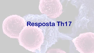 Th17 e TCD8+ (CTL)