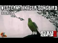 Western Tanager Songbird Location - Red Dead Redemption 2
