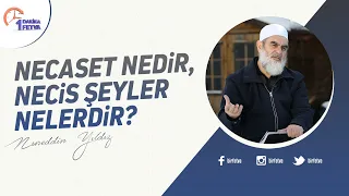 Necaset nedir, necis şeyler nelerdir?