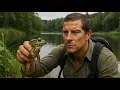 Download Lagu MAN VS WILD IN HINDI | MAN VS WILD WITH BEAR GRYLLS | MAN VS WILD NEW EPISODE HINDI 2025