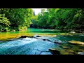 Download Lagu Suasana Aliran Sungai yang Menenangkan | Suara Air Sungai yang Lembut untuk Ketenangan, Istirahat \u0026 Perhatian Penuh
