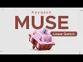 Lagu A surprisingly balanced Switch | Keygeek Muse Linear Switch Sound Test