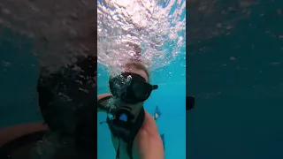 Mow the Lawn! but make it a ⛵ #shorts