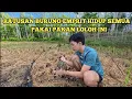 Download Lagu RAHASIA PAKAN LOLOH BURUNG EMPRIT YANG BIKIN SEHAT SAMPAI DEWASA
