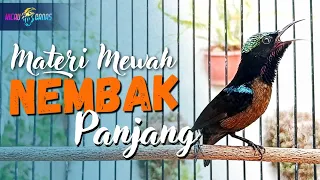 Download PANCINGAN KOLIBRI NINJA GACOR FULL MATERI TEMBAKAN MEWAH - MASTERAN KONIN ISIAN MEWAH MP3