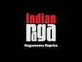 Nagumomu - Ragamalika - Tala Adi (Reprise) - Chandrashekhar Kalyanaraman, IndianRaga, Karthik Subramany & Swaminath Jayaraman