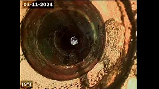         دندنها