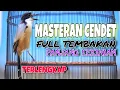 Download Lagu MASTERAN CENDET FULL TEMBAKAN PANJANG TENGKEK BUTO GEREJA ARMAGEDDON KUNTILANAK PALING LENGKAP