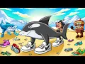 Download Lagu ORCALERO ORCALA BACKSTORY! | Italian Brainrot Animation