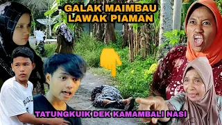 Download TATUNGKUIK DEK KA MAMBALI NASI🤣 EP 69//GALAK MAIMBAU LAWAK PIAMAN😂😂😂 MP3