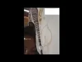 Download Lagu Prank ular kasur Sampek di liatin m*m*k || ome tv