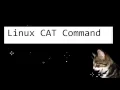 Linux Cat Command by Cosmo Cat