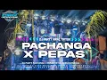 Download Lagu DJ PACHANGA X PEPAS BASS HOREG VIRAL TIK TOK 2025