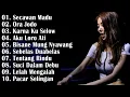 Download Lagu DJ NOFIN ASIA FULL ALBUM | SECAWAN MADU | BISANE MUNG NYAWANG | SUCI DALAM DEBU | DLL #SUBSCRIBE