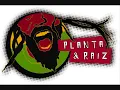 Planta e Raiz - Pra Poucos