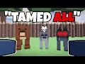 Download Lagu Taming EVERY Animal in 99 Nights in The Forest!