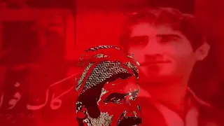 عەینەدین مەریوانی بۆ فوئاد موستەفا سوڵتانی عین الدین Aynadin Bo Kak Foad کۆترە باریکە 