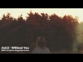 Avicii - Without You ft. Sandro Cavazza (Braaten \u0026 Chrit Leaf ft. Synne Cover)