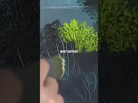 Bob Ross fixes common bush highlight mistakes #painting #art #bobross
