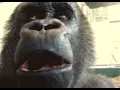 oliver eats apple bass drop