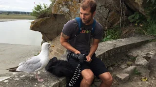 Le Mont Saint-Michel