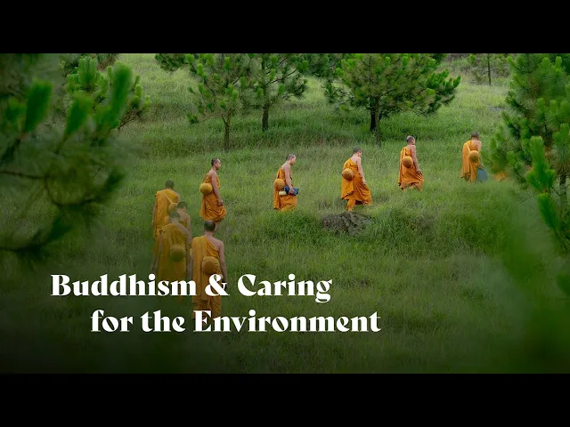 Buddhism & Caring for the Environment | Dhammananda Bhikkhuni
