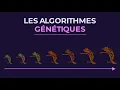 Genetic Algorithms From Theory to Code
