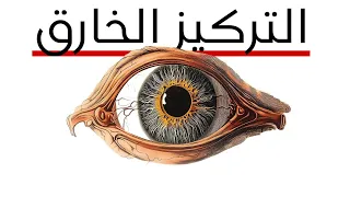 إزاي تدخل أعلى حالة تركيز في حياتك  ال             دندنها