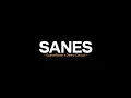 Download Lagu Sanes - GuyonWaton x Denny Caknan (Lirik lagu) ngancani nanging ora iso nduweni