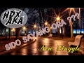 Download Lagu Jan E Sido Sayang Ora - NDX AXA