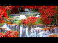 Beautiful Relaxing Music - Birds & Piano. Worship Instrumental Music