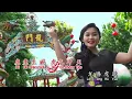 Lagu Imlek 2022