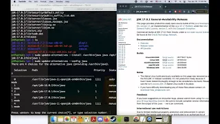 How to install update Java on Raspberry Pi