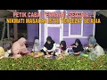 Download Lagu LELAHKU TEROBATI..!! PETIK CABE TERMAHAL DI DUNIA || MENIKMATI MASAKAN ISTRI TERLEZAT SE ASIA