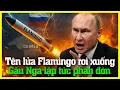 Download Lagu Nga phản công toàn diện: Tên lửa Flamingo là giọt nước tràn ly?