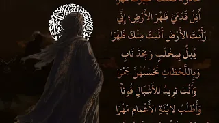 قصيدة بشر بن عوانة عندما قابل الاسد وهوا عائد ب مهر ابة عمة  شعر  شعراء ومتذوقين الشعر الشعبي  دندنها