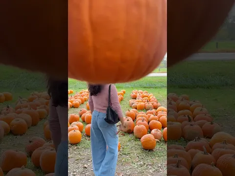 Do this in October 😉🙃😂 #shorts #youtubeshorts #shortsvideo #viral #trending #halloween
