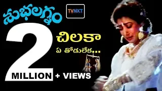 Download Chilaka Ye Thodu Leka Video Song || Subhalagnam Movie || Jagapathi Babu, Aamani, Roja || TVNXT MP3