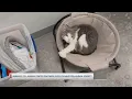 Berkeley Co Animal Center partnering with Charleston Animal Society