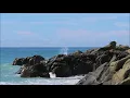 哭 砂 / Crying Sand  (黃鶯鶯 / Tracy Huang) (4K 5.1聲道) (英文翻譯 / English translation)