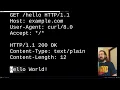 Cybersecurity 03 - HTTP