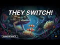 Animals Change Gender - Shocking Secrets You Never Knew